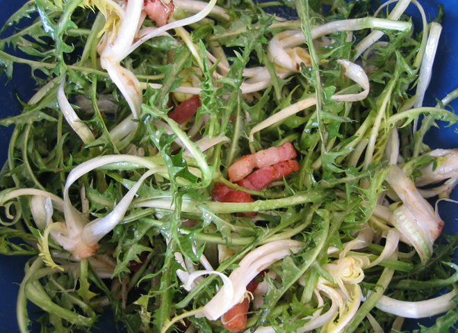 Salade de pissenlit aux petits lardons